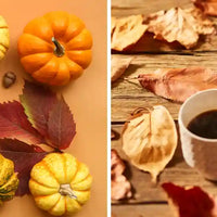 Automne comment préparer son organisme au changement de saison  Nujimé (6)