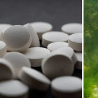 choix vitamine D vegan Nujime specialiste des complements alimentaires 