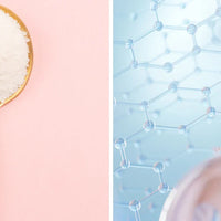 collagene marin bovin Nujime specialiste complements alimentaires