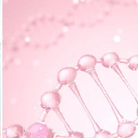 collagene type I II Nujime specialiste des complements alimentaires 