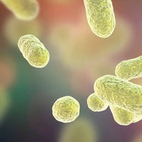 microbiote Nujime specialiste des complements alimentaires 