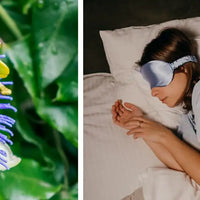 Passiflore : bienfaits, relaxation et sommeil naturel