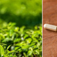 the vert guide Nujime specialiste des complements alimentaires