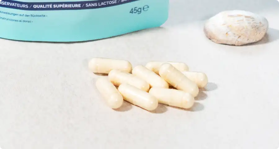 Conseils d'utilisation