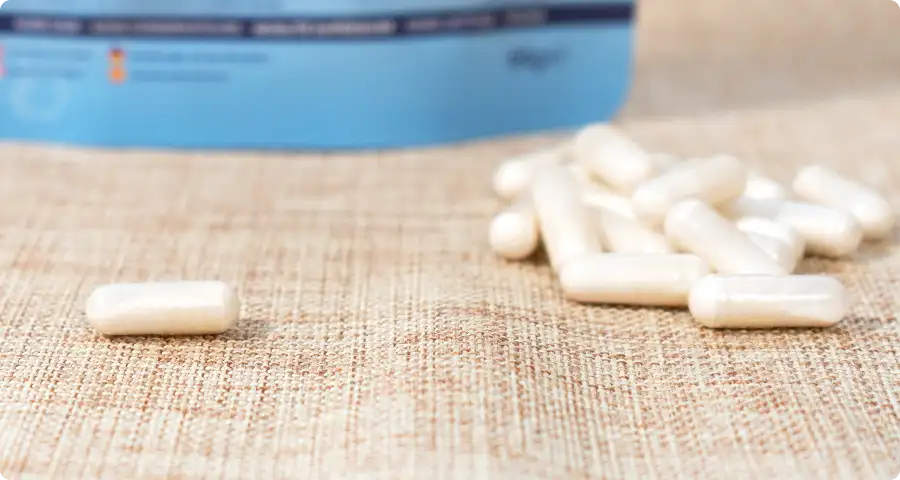 Conseils d'utilisation