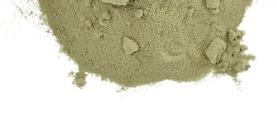 Fucus