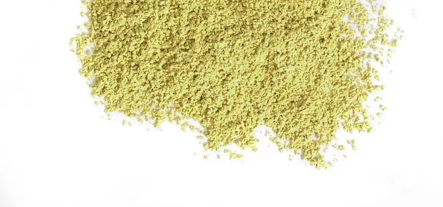 Nopal