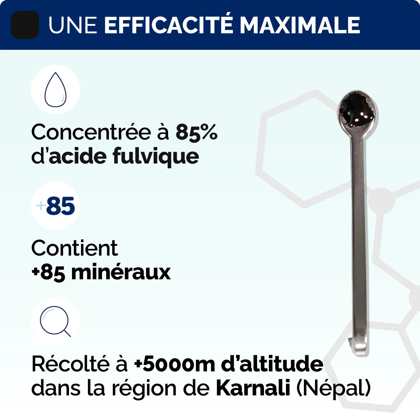 Efficacite Shilajit resine pure Nujime Laboratoires